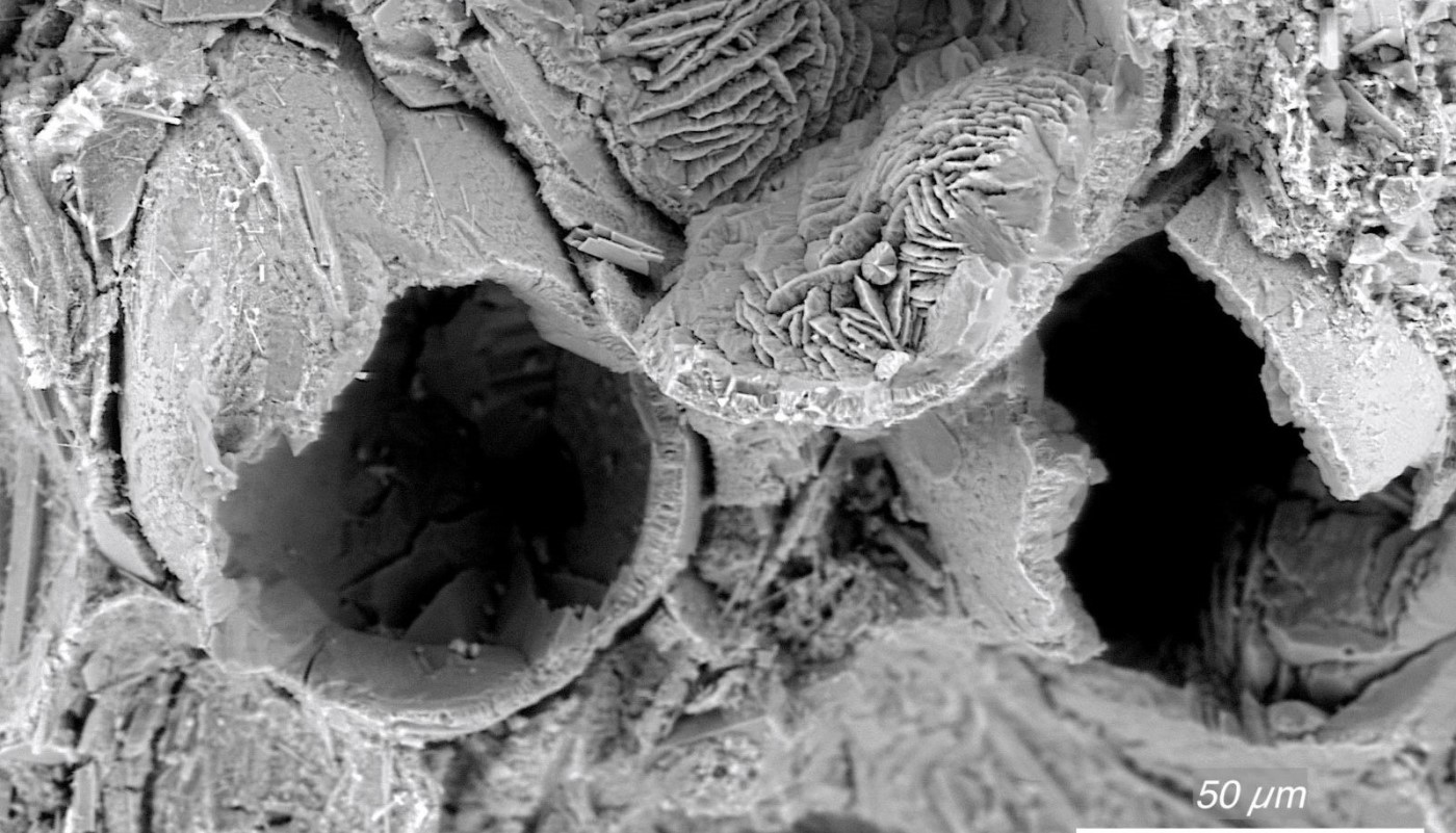 El Festival IF Barcelona passa per l'Estruch